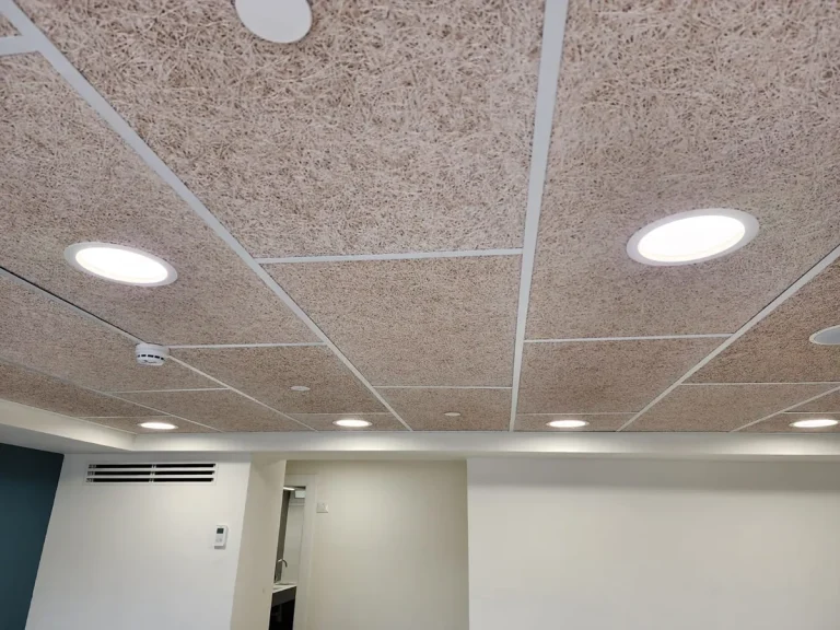 תקרה אקוסטית עם תאורה במתנ״ס רכסים